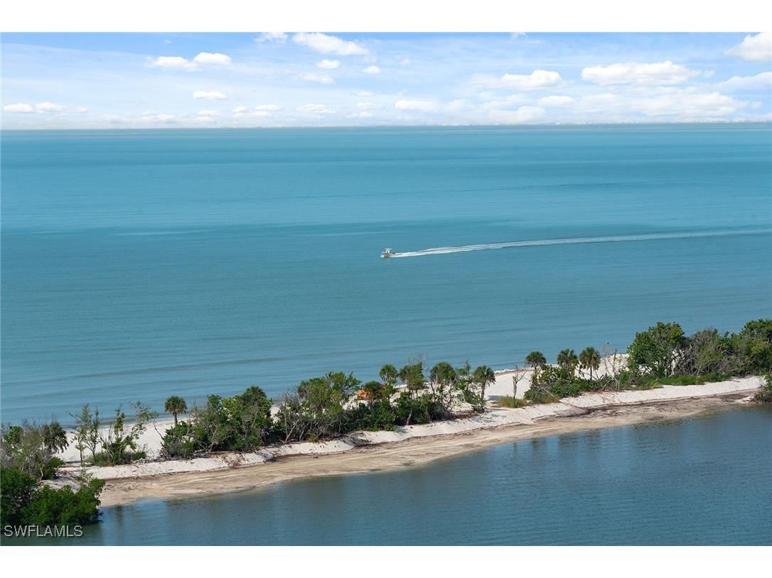 60 Seagate Drive #1606 Naples FL 34103 225082887 image37