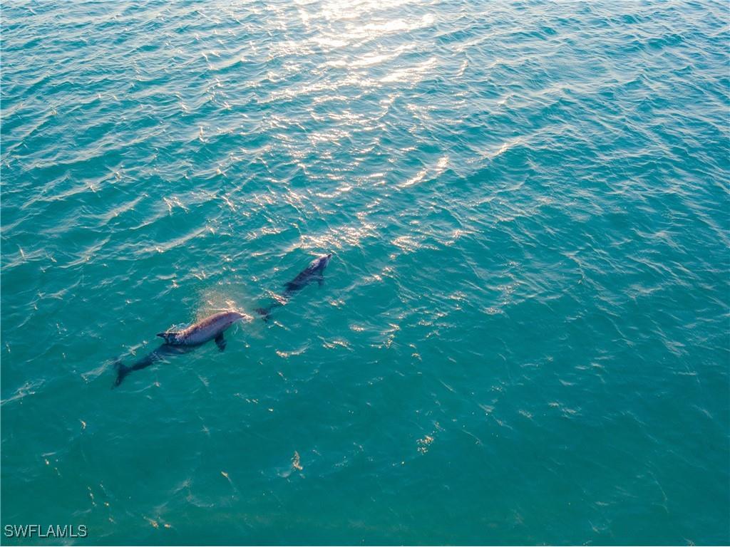 600 Neapolitan Way #345 Naples FL 34103 225043609 image41