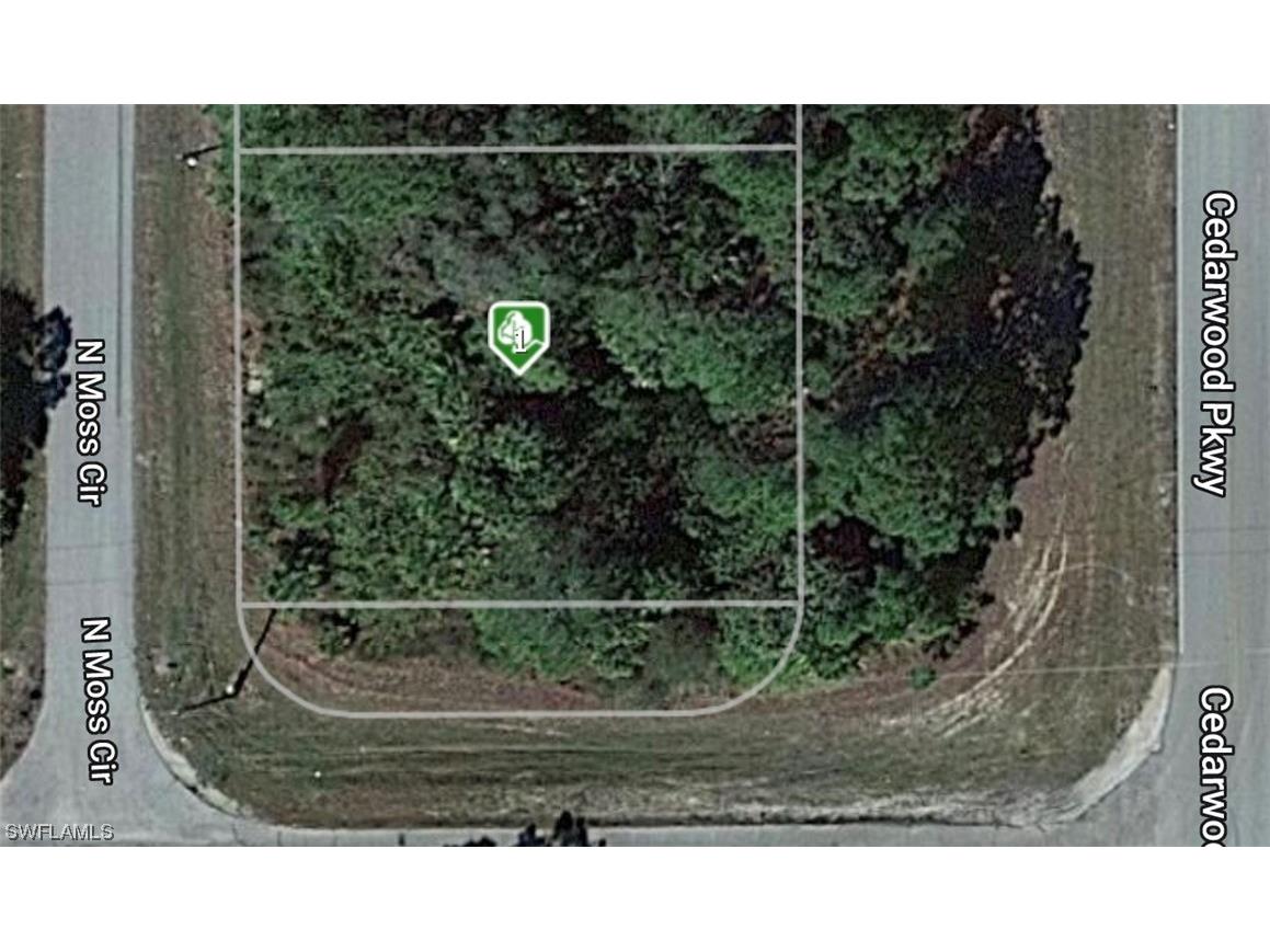 6001 N Moss Circle Labelle FL 33935 223078739 image1