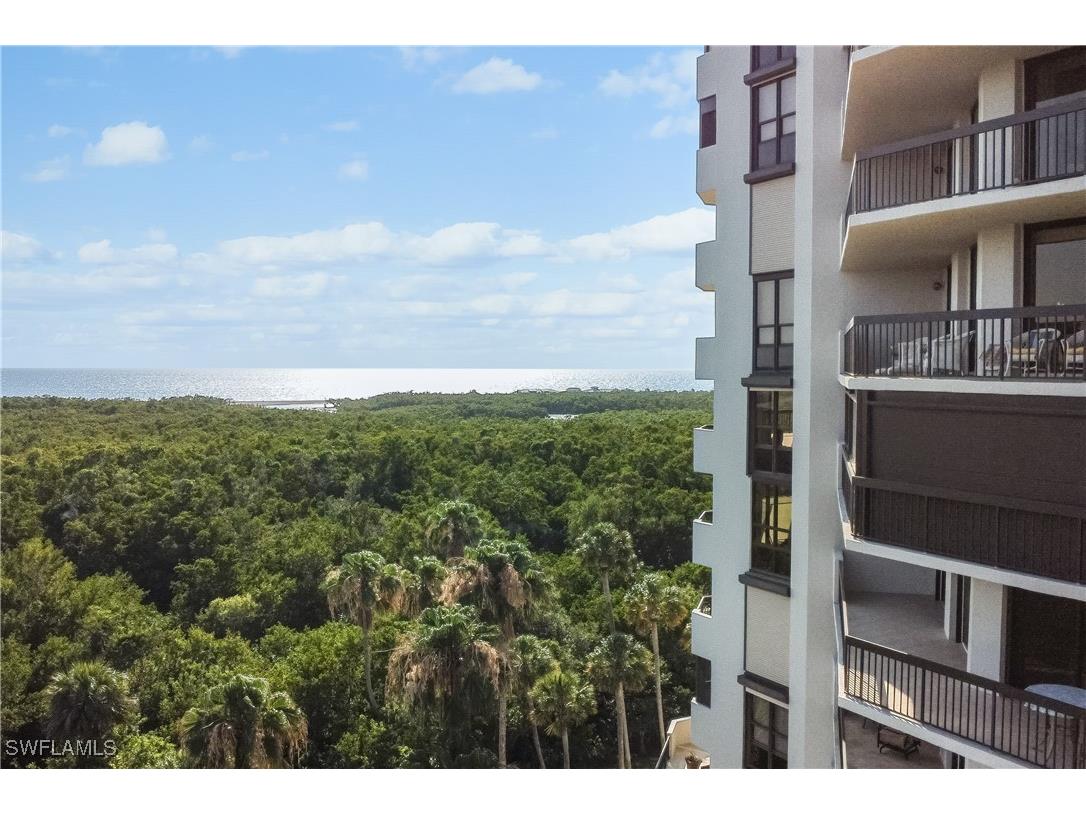 6001 Pelican Bay Boulevard #202 Naples FL 34108 225050686 image22