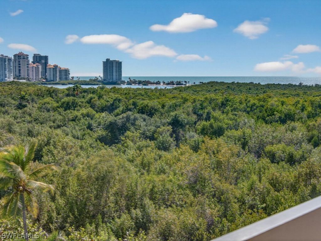6001 Pelican Bay Boulevard #503 Naples FL 34108 226009548 image3