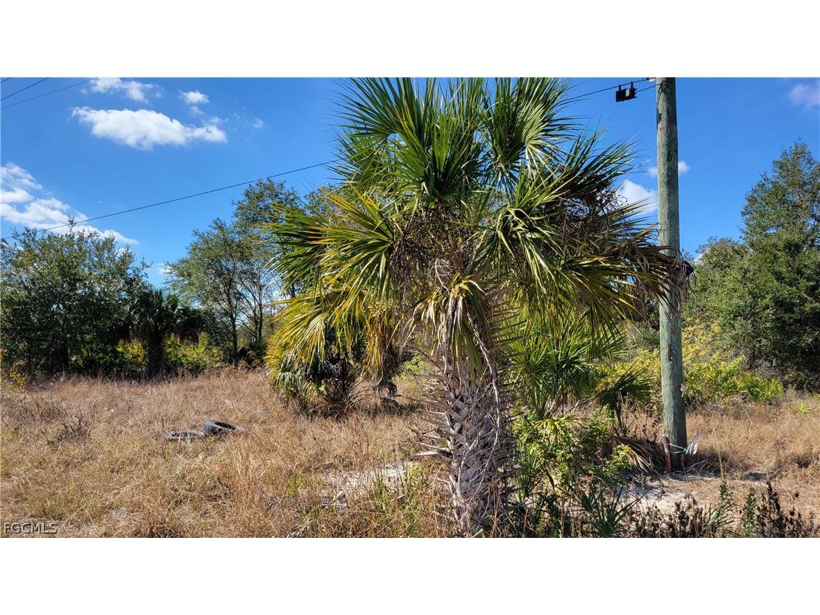 6001 Sunshine Boulevard N Lehigh Acres FL 33971 2026008184 image1