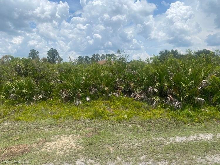 6004 Flora Avenue N Lehigh Acres FL 33971 223046415 image1
