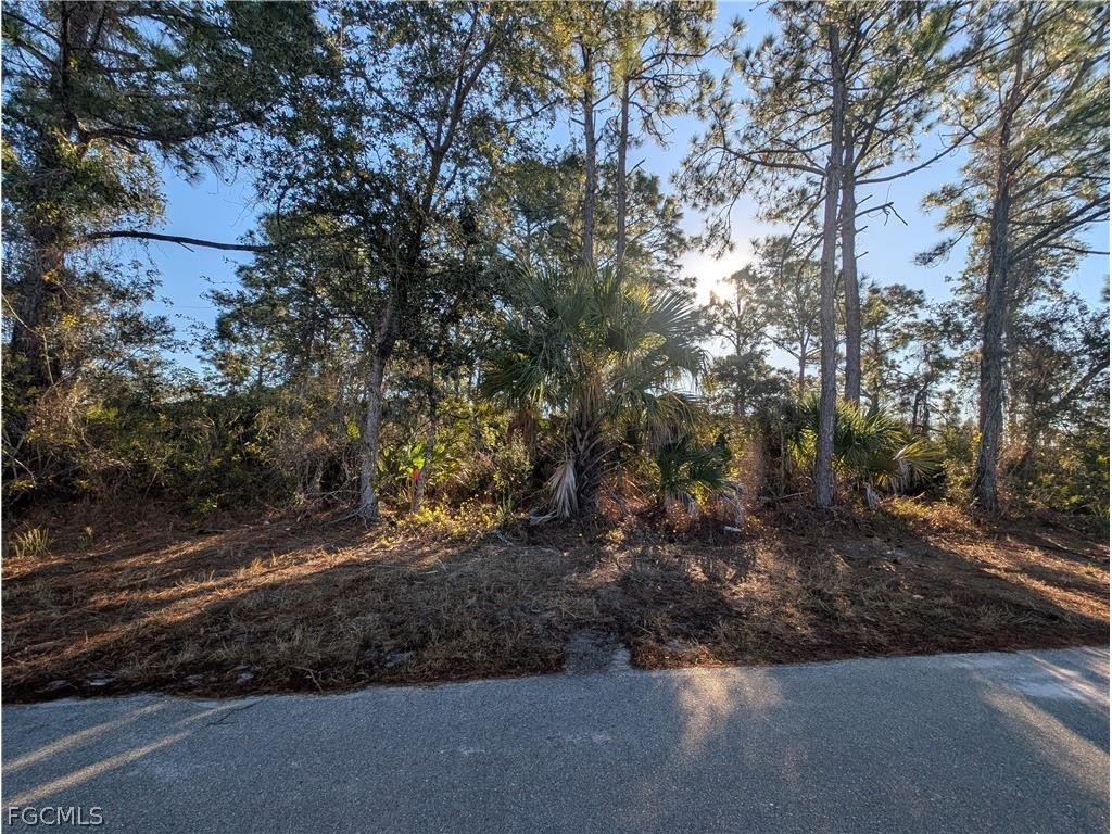 6004 Olive Avenue N Lehigh Acres FL 33971 2026010025 image5
