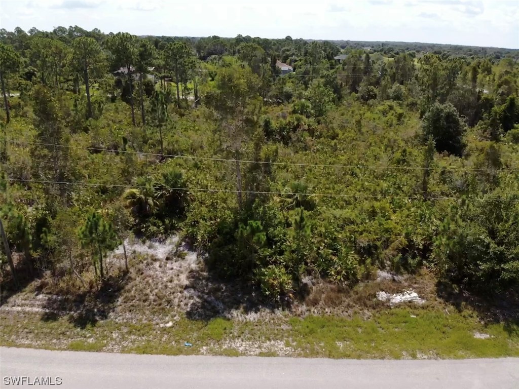 6004 Sara Avenue N Lehigh Acres FL 33971 223051394 image1