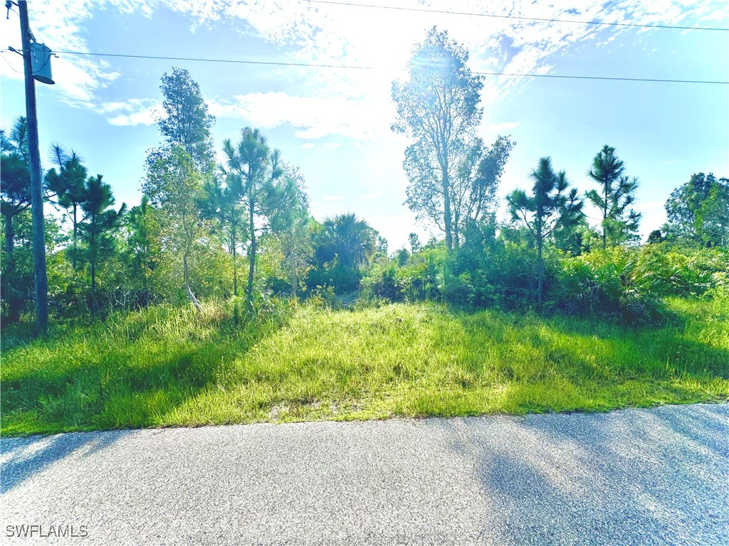 6006 Sara Avenue N Lehigh Acres FL 33971 224069493 image1