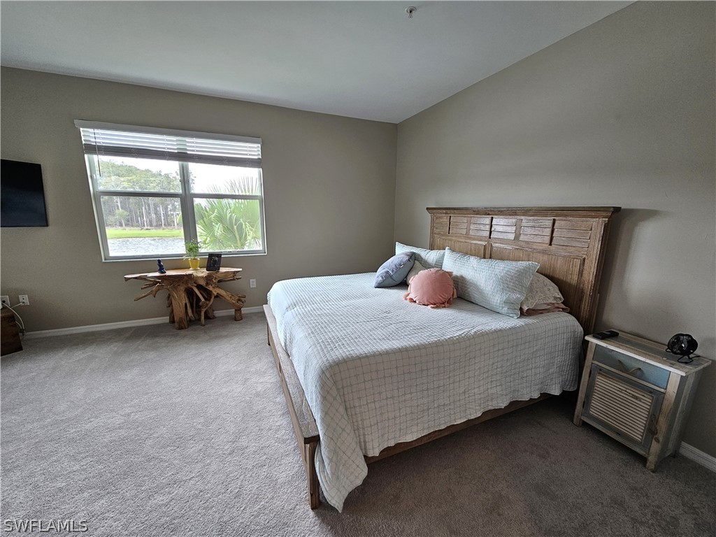 6007 Ellerston Way #721 Ave Maria FL 34142 226007376 image10