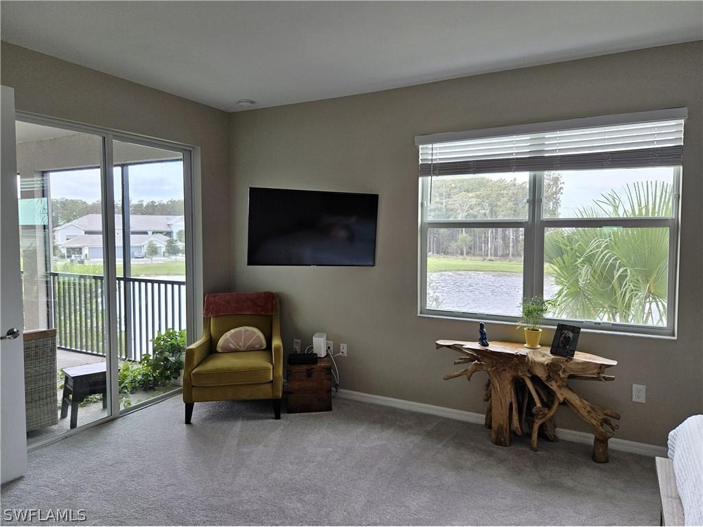 6007 Ellerston Way #721 Ave Maria FL 34142 226007376 image11