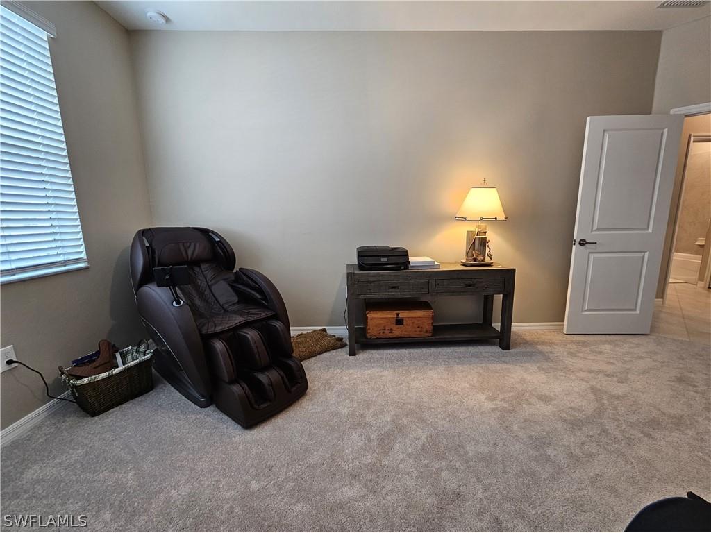 6007 Ellerston Way #721 Ave Maria FL 34142 226007376 image15
