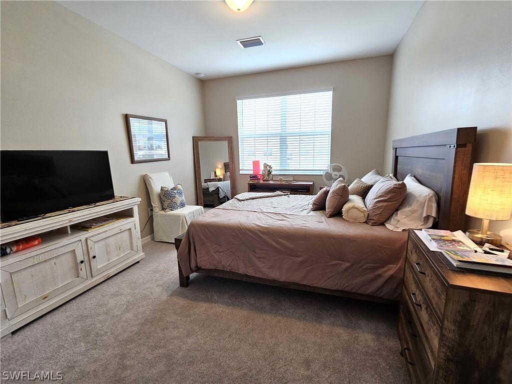 6007 Ellerston Way #721 Ave Maria FL 34142 226007376 image17