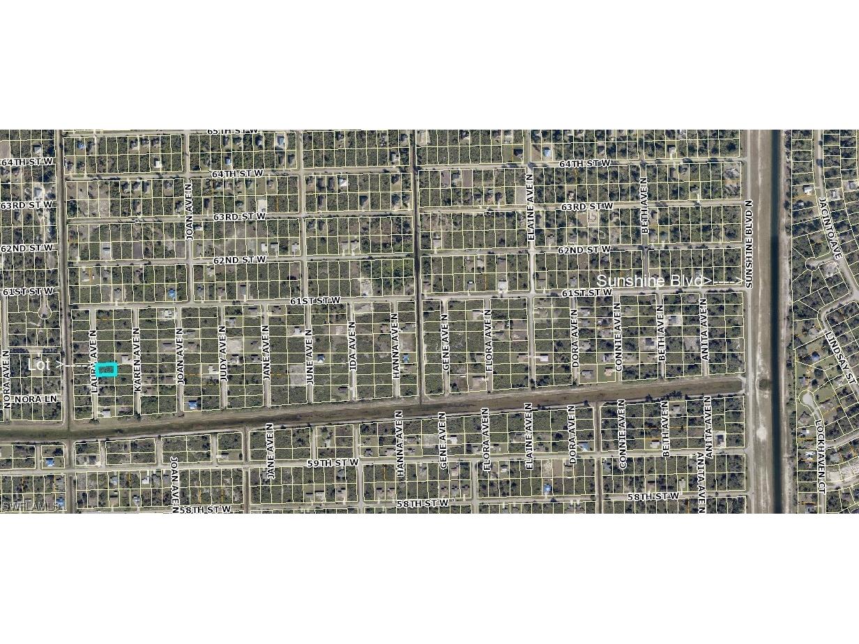 6008 Laura Avenue N Lehigh Acres FL 33971 223063895 image1