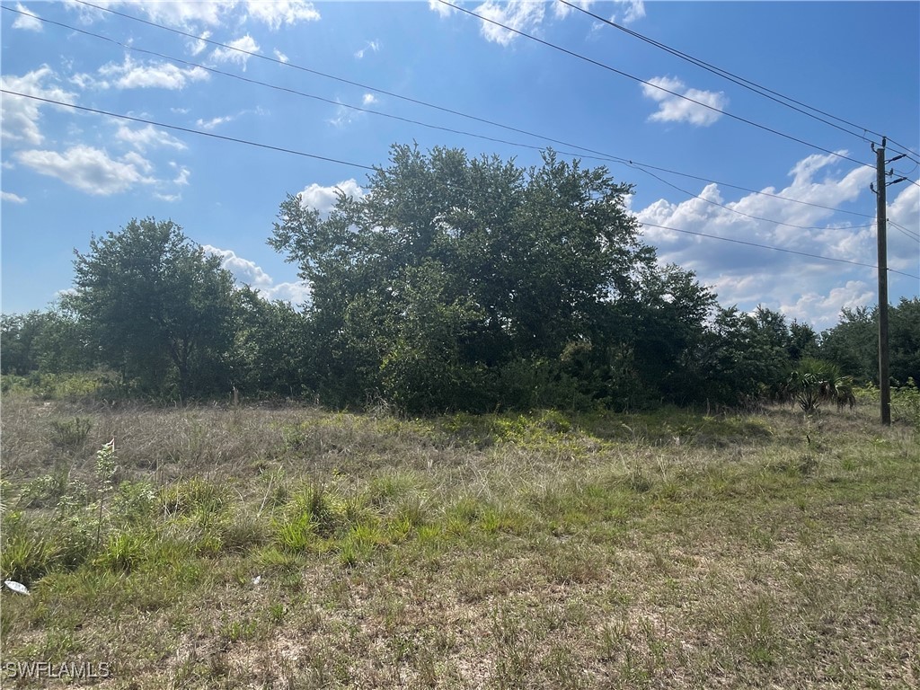 6009 Sunshine Boulevard N Lehigh Acres FL 33971 225050278 image1