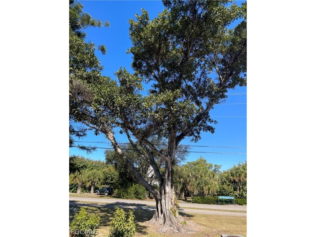 601 Periwinkle Way #D1 Sanibel FL 33957 225056660 image28