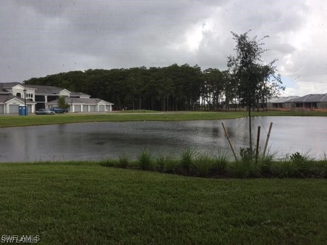 6011 Ellerston Way #811 Ave Maria FL 34142 225070421 image16