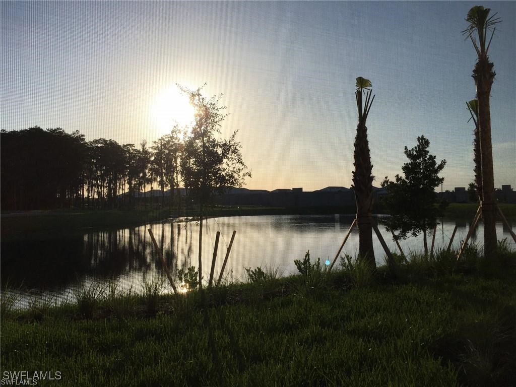 6011 Ellerston Way #811 Ave Maria FL 34142 225075149 image18