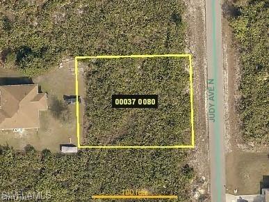 6011 Judy Avenue N Lehigh Acres FL 33971 223024751 image1