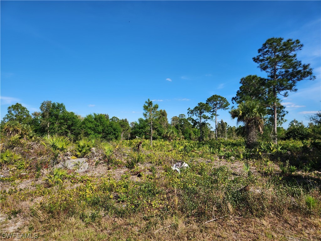 6014 Vera Avenue N Lehigh Acres FL 33971 224019743 image1