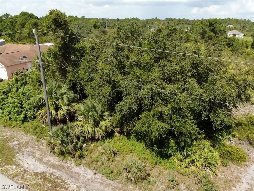 6015 Olive Avenue N Lehigh Acres FL 33971 223051393 image1