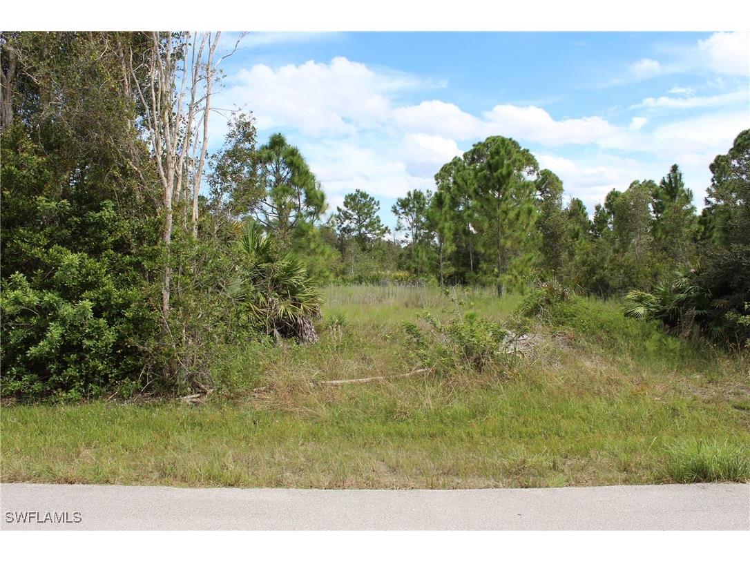 6016 Olive Avenue N Lehigh Acres FL 33971 224080740 image1