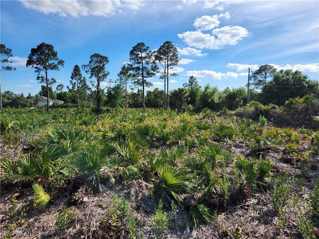 6016 Vera Avenue N Lehigh Acres FL 33971 224019708 image1