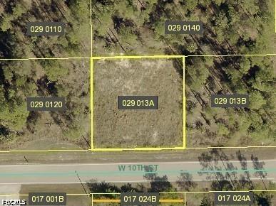 602 W 10th Street Lehigh Acres FL 33972 2026021099 image1