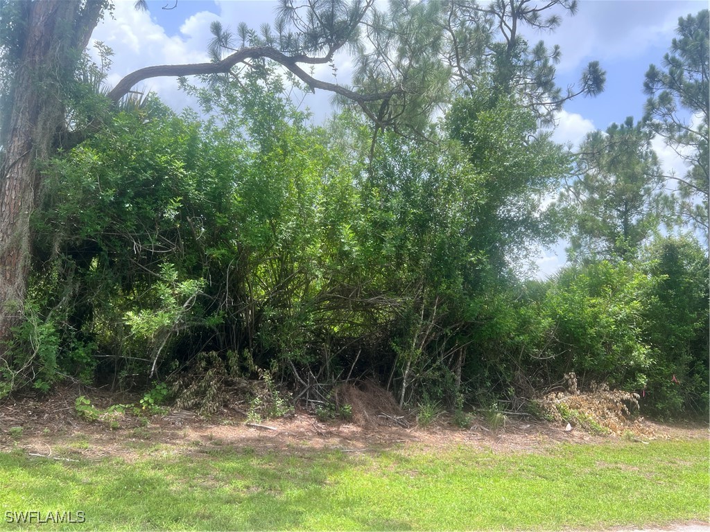 6020 Juliet Avenue Fort Myers FL 33905 225061824 image2