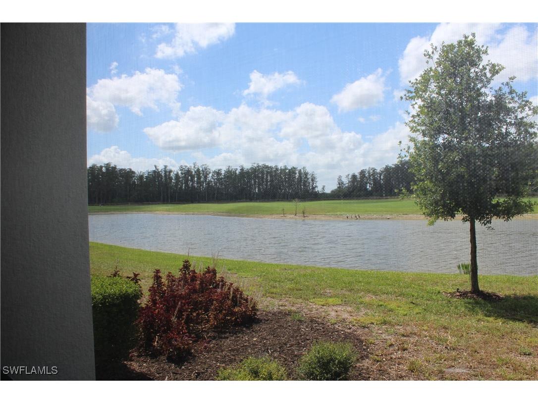 6023 Ellerston Way #1816 Ave Maria FL 34142 226005279 image25