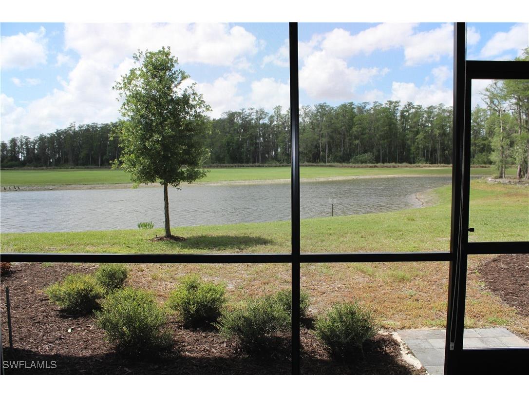 6023 Ellerston Way #1816 Ave Maria FL 34142 226005279 image26