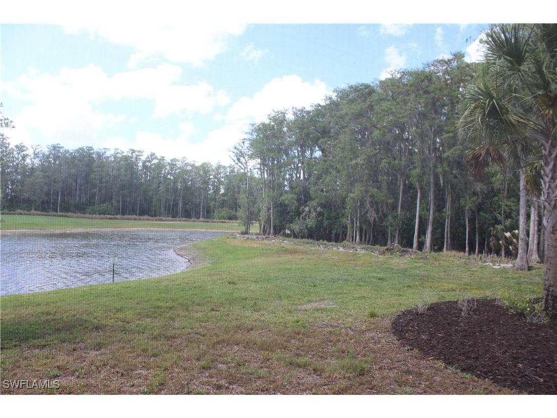 6023 Ellerston Way #1816 Ave Maria FL 34142 226005279 image27