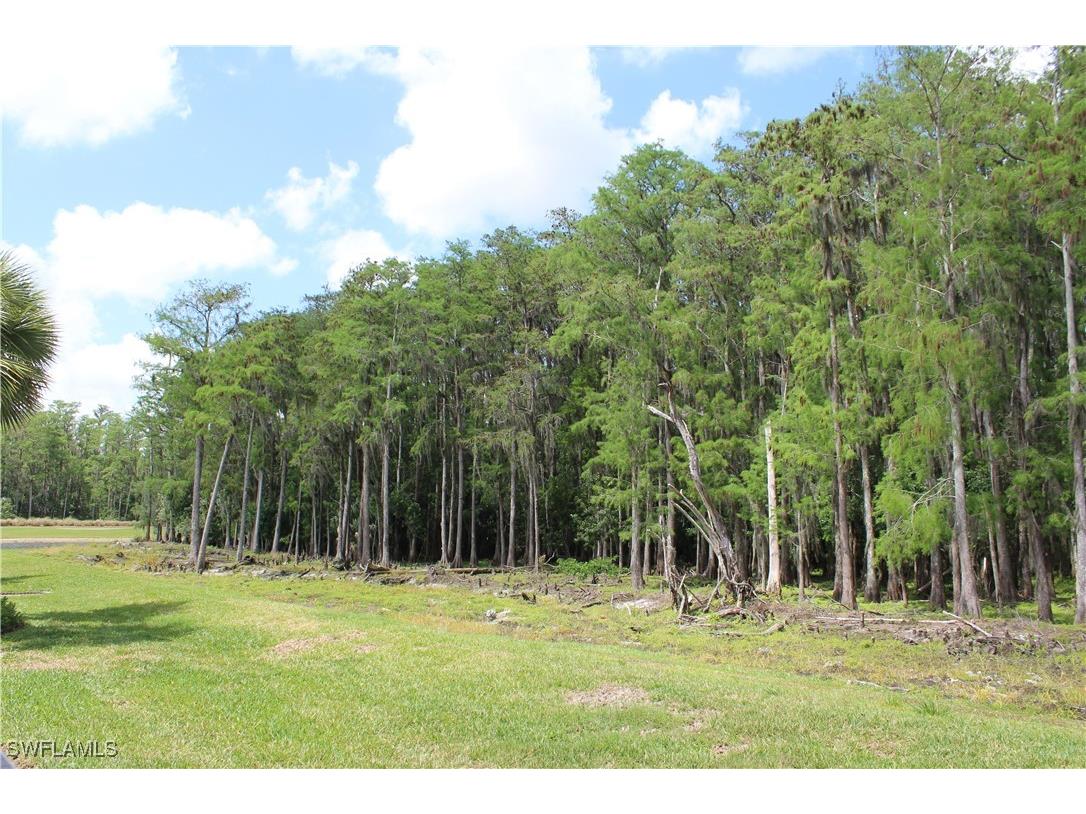 6023 Ellerston Way #1816 Ave Maria FL 34142 226005279 image31