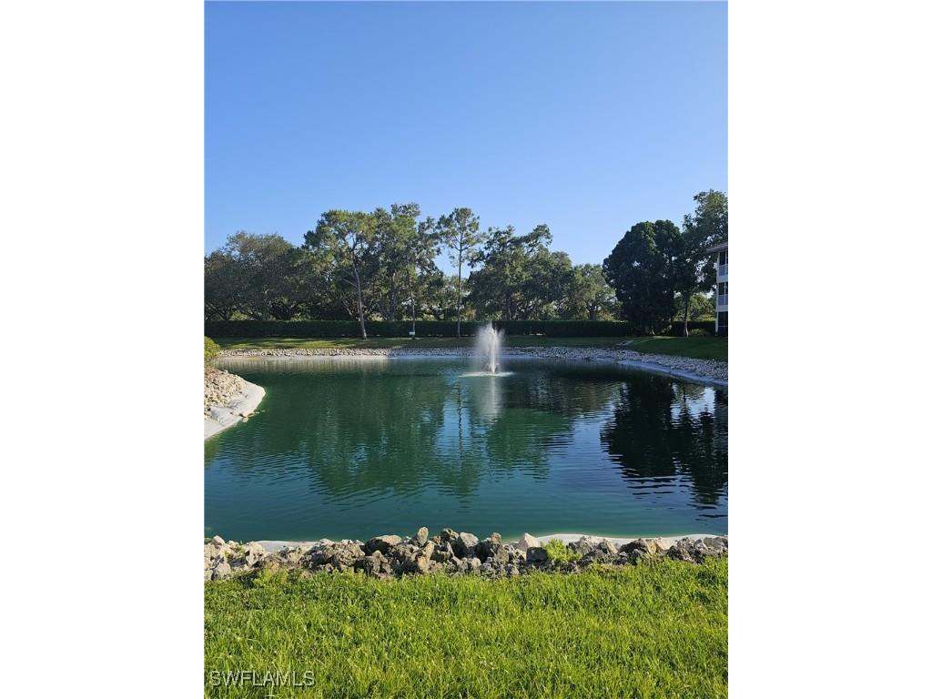6025 Chardonnay Lane #102 Naples FL 34119 225043670 image34