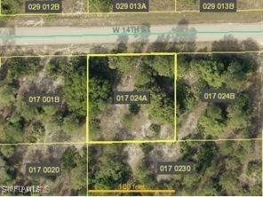 603 W 14th Street Lehigh Acres FL 33972 225067656 image1