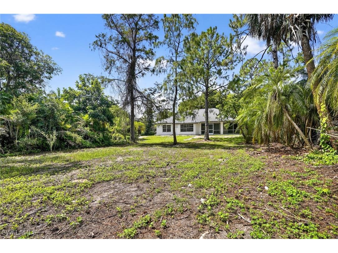 6035 Painted Leaf Lane Naples FL 34116 225063054 image24