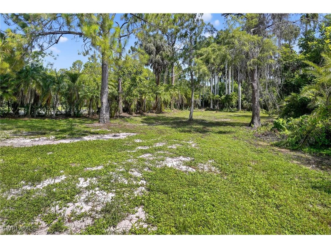 6035 Painted Leaf Lane Naples FL 34116 225063054 image25