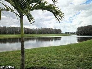 6039 Ellerston Way #2017 Ave Maria FL 34142 226020748 image18