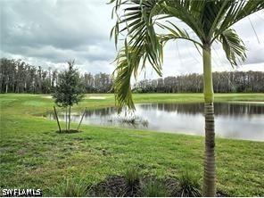6039 Ellerston Way #2017 Ave Maria FL 34142 226020748 image19