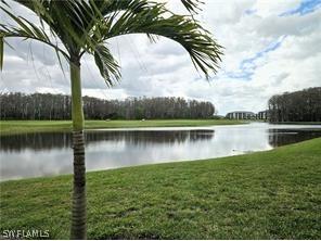 6039 Ellerston Way #2017 Immokalee FL 34142 226007529 image18