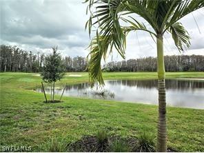 6039 Ellerston Way #2017 Immokalee FL 34142 226007529 image19