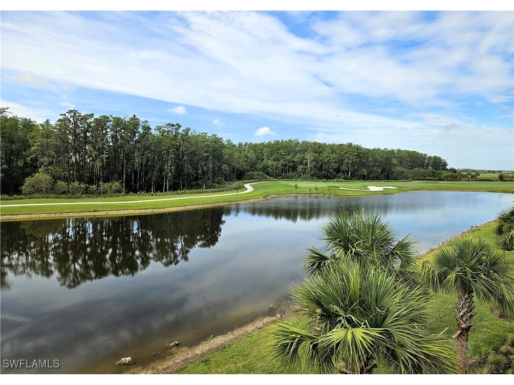 6046 National Boulevard #433 Ave Maria FL 34142 225065665 image1