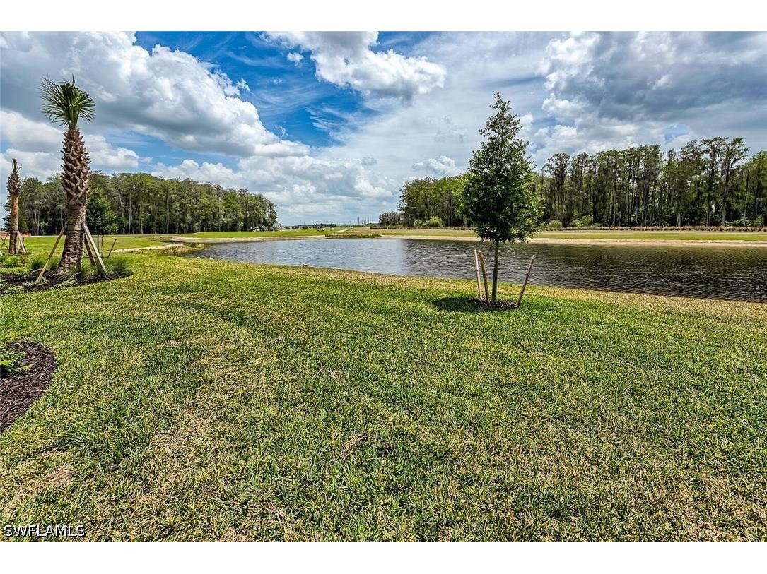 6046 National Boulevard #436 Ave Maria FL 34142 226017355 image14