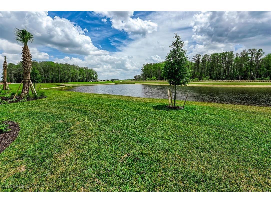 6046 National Boulevard #437 Ave Maria FL 34142 225068597 image19