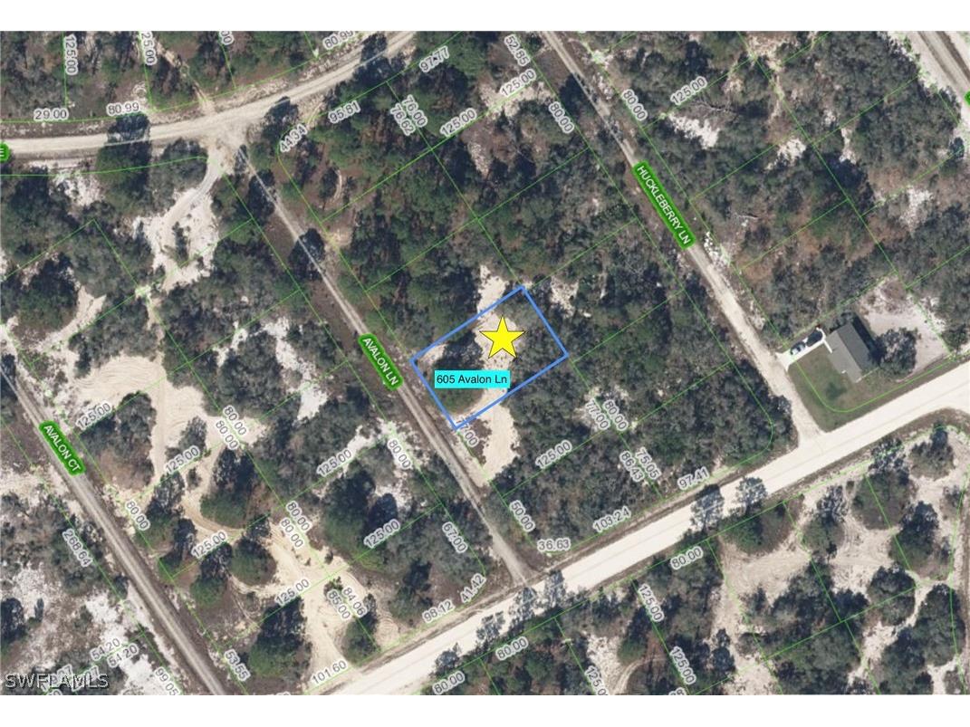 605 Avalon Lane Lake Placid FL 33852 226009607 image1