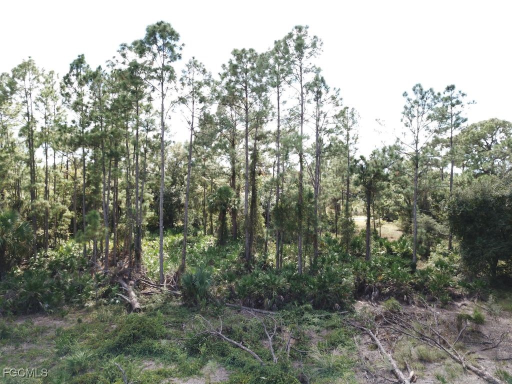 605 Broadway Avenue Lehigh Acres FL 33972 2025016485 image4