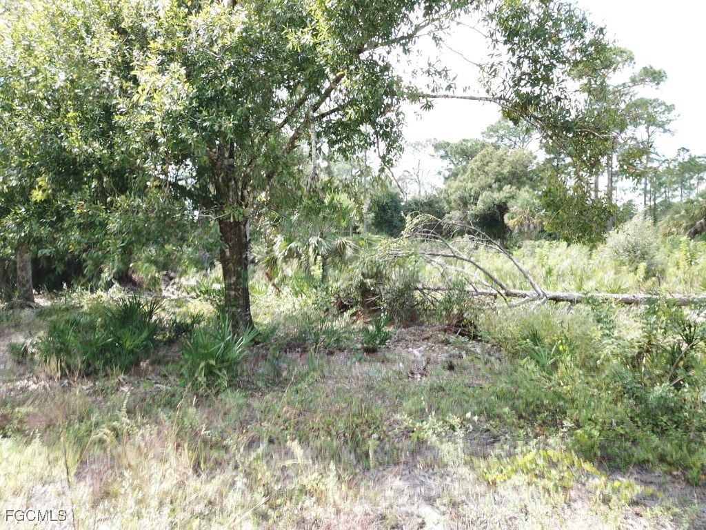 605 Broadway Avenue Lehigh Acres FL 33972 2025016485 image8