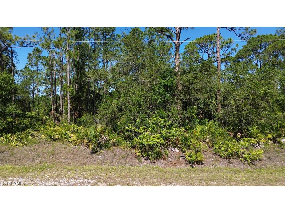 605 Broadway Avenue Lehigh Acres FL 33972 223038589 image1