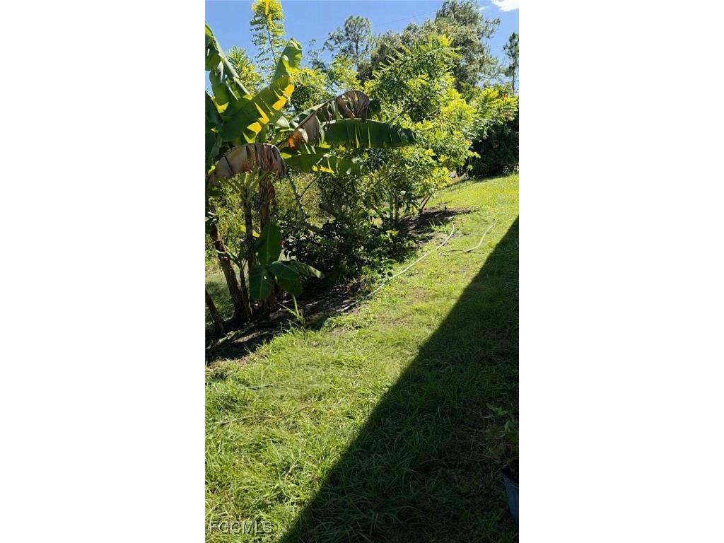 605 E 11th Street Lehigh Acres FL 33972 2025020642 image7