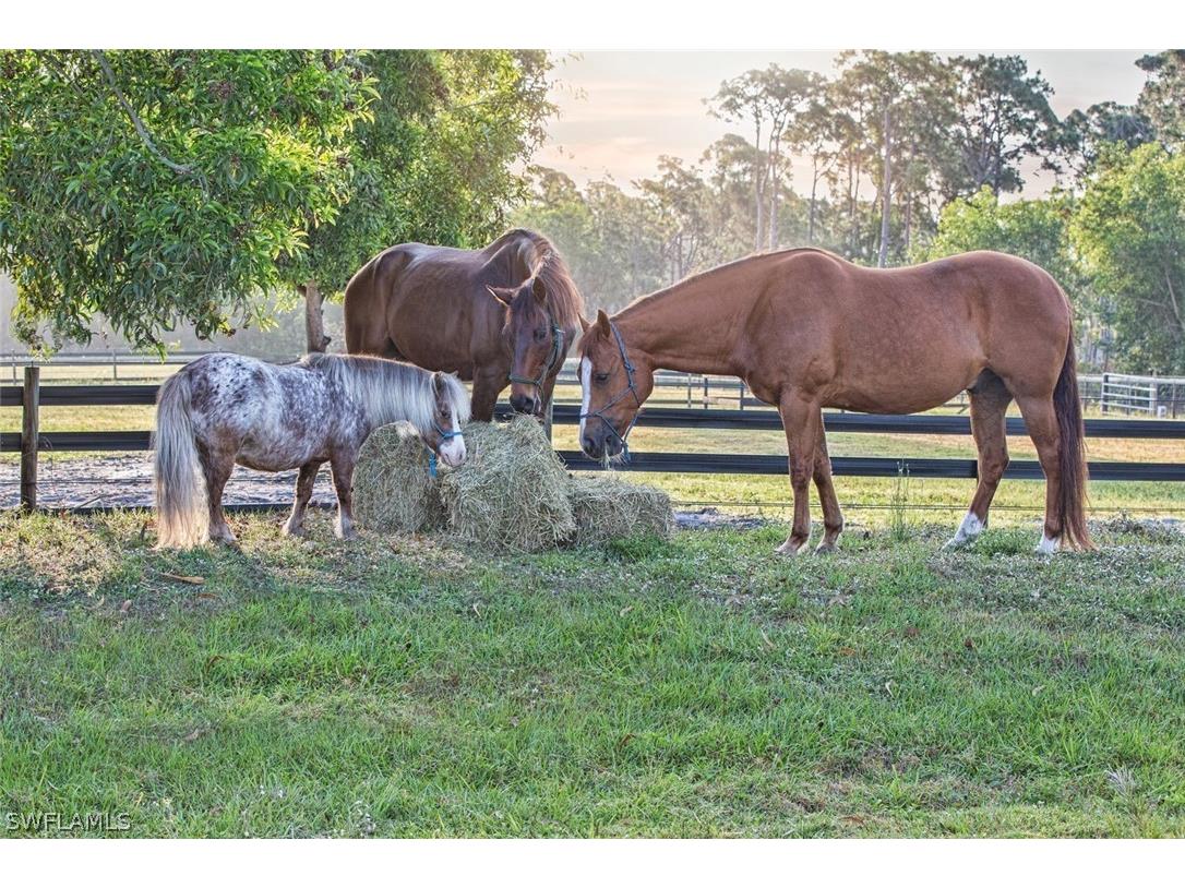 6050 Stringfellow Road Saint James City FL 33956 226006768 image4