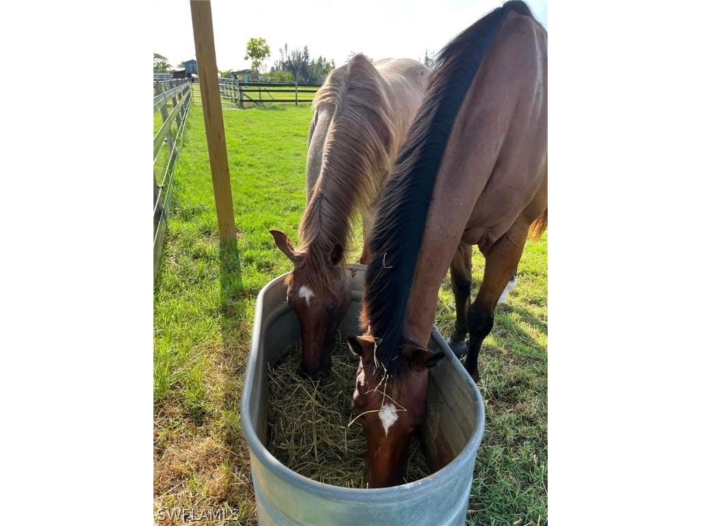 6050 Stringfellow Road Saint James City FL 33956 226006768 image7