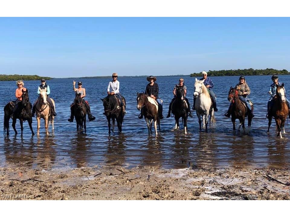 6050 Stringfellow Road Saint James City FL 33956 226006768 image9