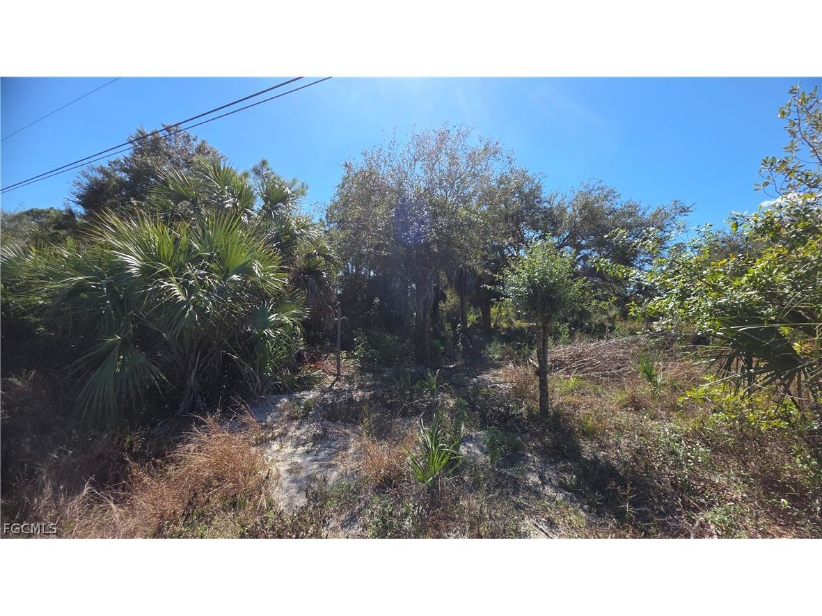 606 Charles Sise Street Lehigh Acres FL 33974 2026009092 image1